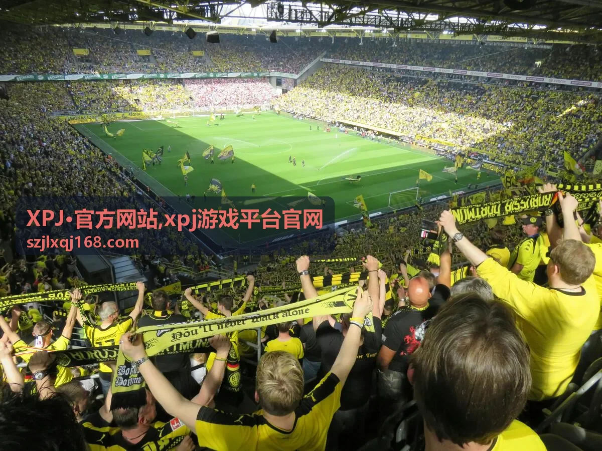 XPJ·官方网站xpj游戏平台官网首屏视觉