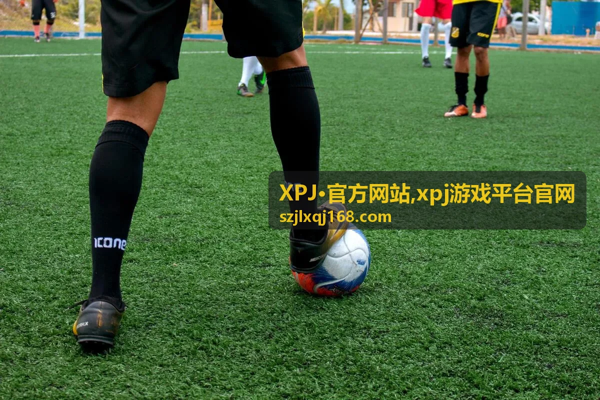 xpj游戏平台官网入口资讯说明